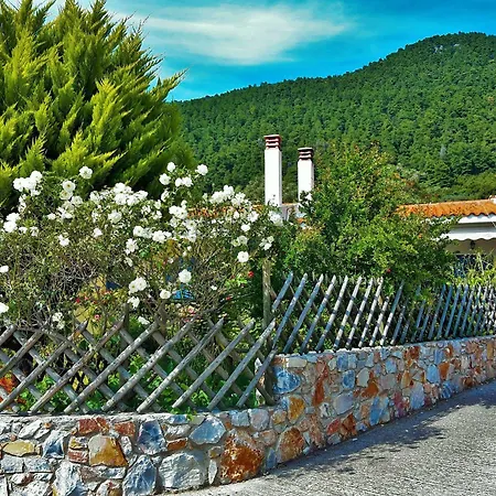 Alexios